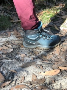 Hiking in the Otways Shelly Beach – Blanket Bay