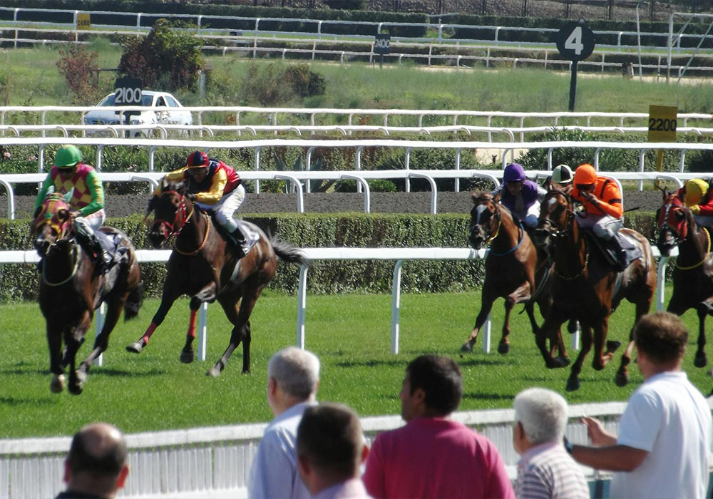 Melbourne-cup-day horses racing